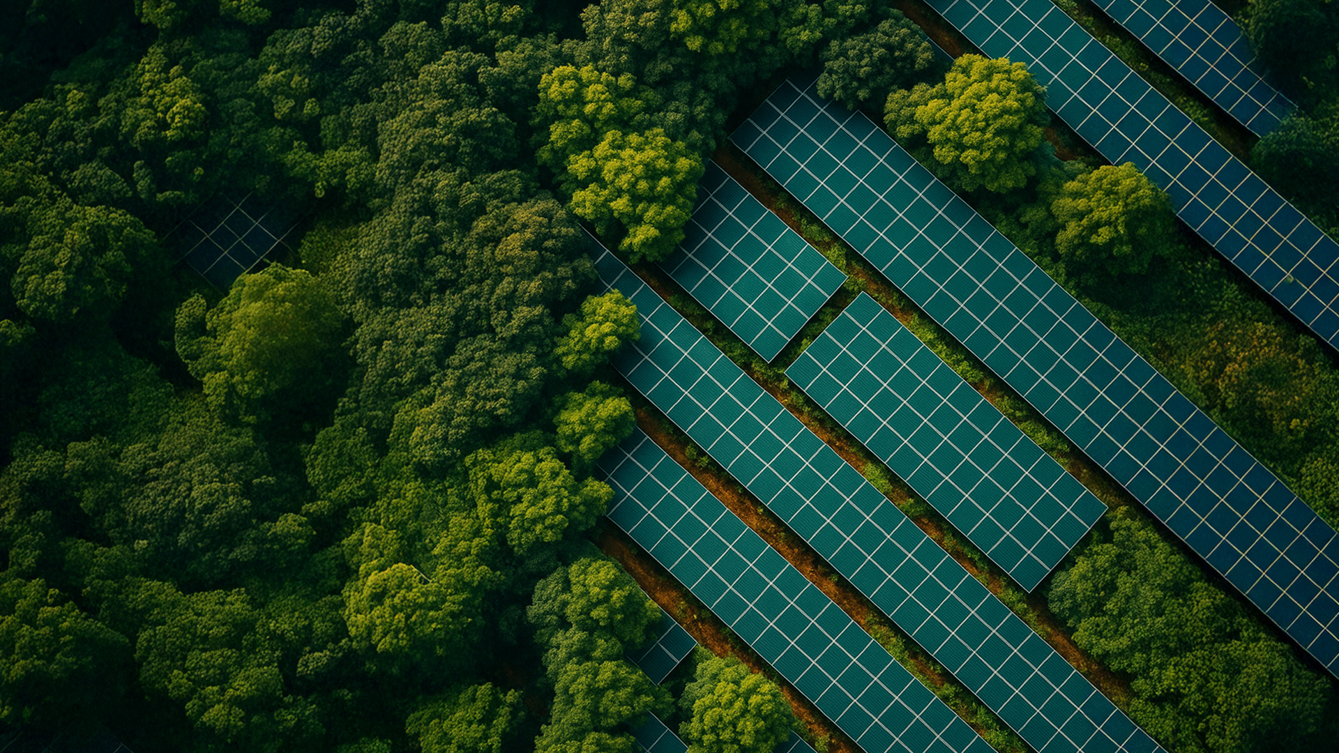 Yenilenebilir Enerji Santrallerinde Trafo Kullanımı